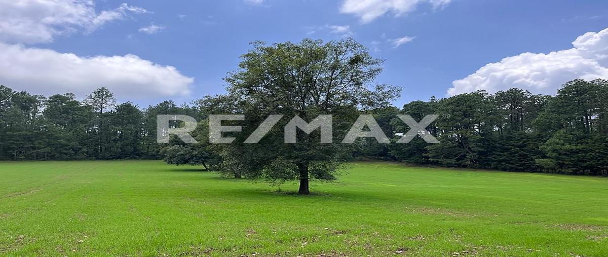 Foto de terreno habitacional en venta en sin nombre , santa teresa tilostoc, valle de bravo, méxico, 31037147 No. 03