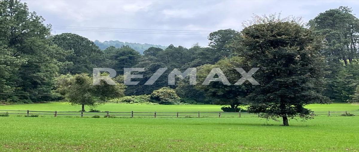 Foto de terreno habitacional en venta en sin nombre , santa teresa tilostoc, valle de bravo, méxico, 31037147 No. 04