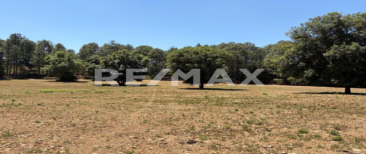 Foto de terreno habitacional en venta en sin nombre , santa teresa tilostoc, valle de bravo, méxico, 31037147 No. 05