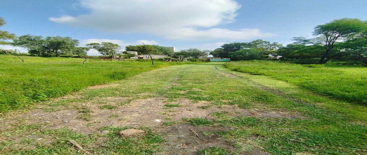 Foto de terreno habitacional en venta en sin nombre , santiago tlaltepaxco, huehuetoca, méxico, 0 No. 05