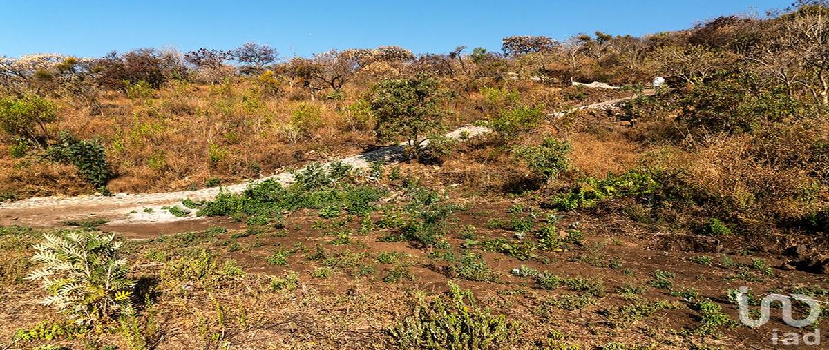 Foto de terreno habitacional en venta en sin nombre , santo domingo ocotitlán, tepoztlán, morelos, 0 No. 04