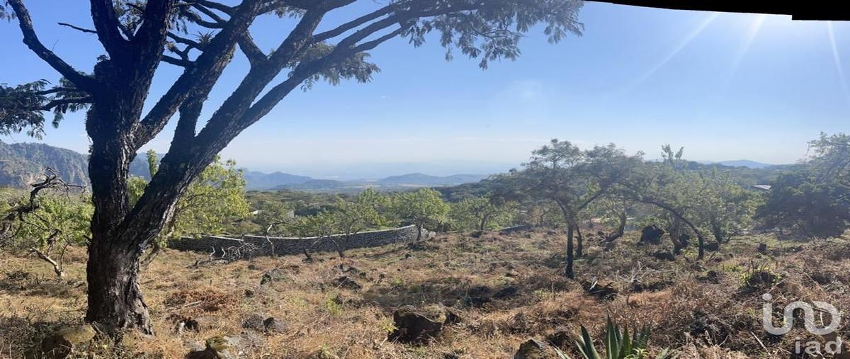 Foto de terreno habitacional en venta en sin nombre , santo domingo ocotitlán, tepoztlán, morelos, 0 No. 05