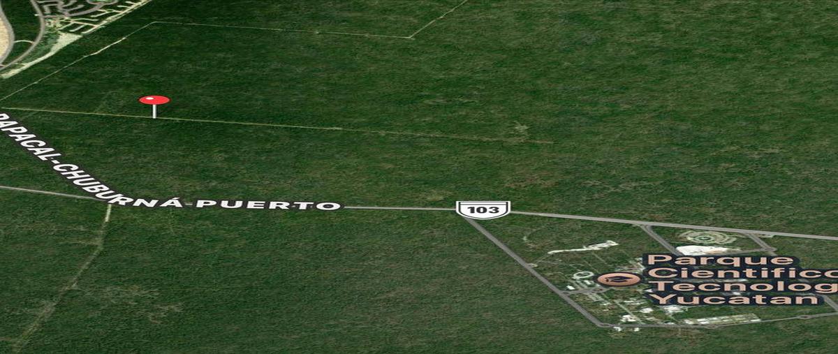 Foto de terreno habitacional en venta en sin nombre , sierra papacal, mérida, yucatán, 30851558 No. 03