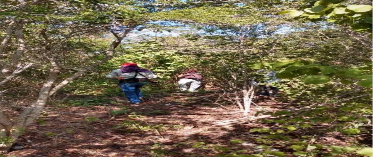 Foto de terreno habitacional en venta en sin nombre , sierra papacal, mérida, yucatán, 31065973 No. 04