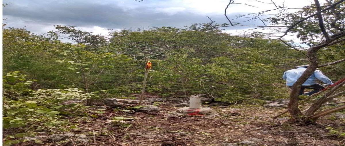 Foto de terreno habitacional en venta en sin nombre , sierra papacal, mérida, yucatán, 31065973 No. 05