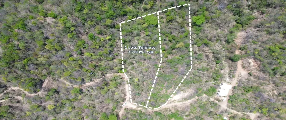 Foto de terreno habitacional en venta en sin nombre sin número, el colorado, san pedro pochutla, oaxaca, 0 No. 03