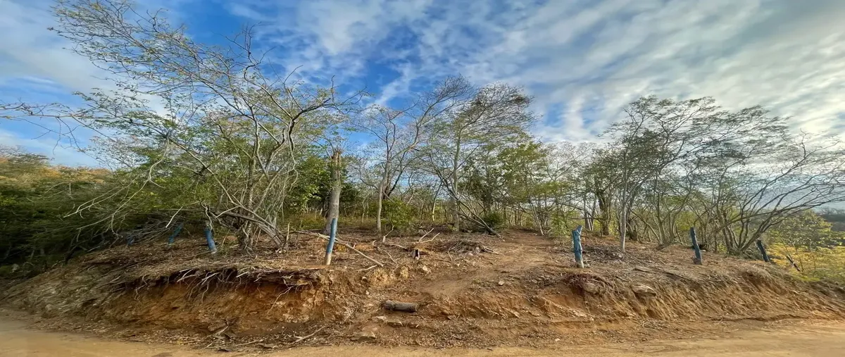 Foto de terreno habitacional en venta en sin nombre sin número, el colorado, san pedro pochutla, oaxaca, 29942190 No. 04