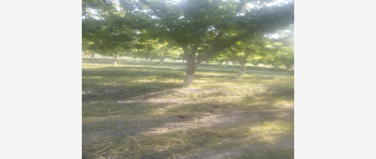 Foto de terreno habitacional en venta en sin nombre sin numero, ojo de agua, parras, coahuila de zaragoza, 0 No. 01