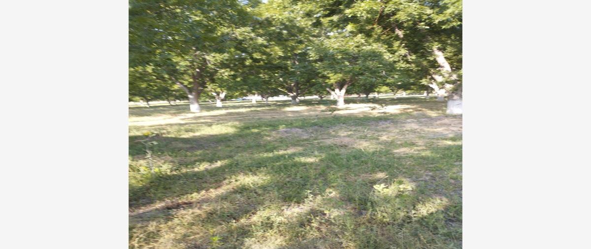 Foto de terreno habitacional en venta en sin nombre sin numero, ojo de agua, parras, coahuila de zaragoza, 0 No. 05