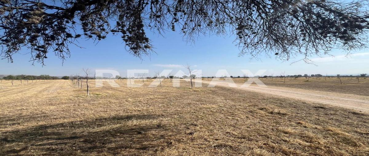 Foto de terreno habitacional en sin nombre , unión de ladrilleros, jesús maría, aguascalientes, 0 foto 04 Foto de terreno habitacional en venta en sin nombre , unión de ladrilleros, jesús maría, aguascalientes, 0 No. 04