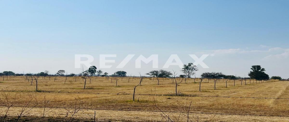 Foto de terreno habitacional en sin nombre , unión de ladrilleros, jesús maría, aguascalientes, 0 foto 05 Foto de terreno habitacional en venta en sin nombre , unión de ladrilleros, jesús maría, aguascalientes, 0 No. 05