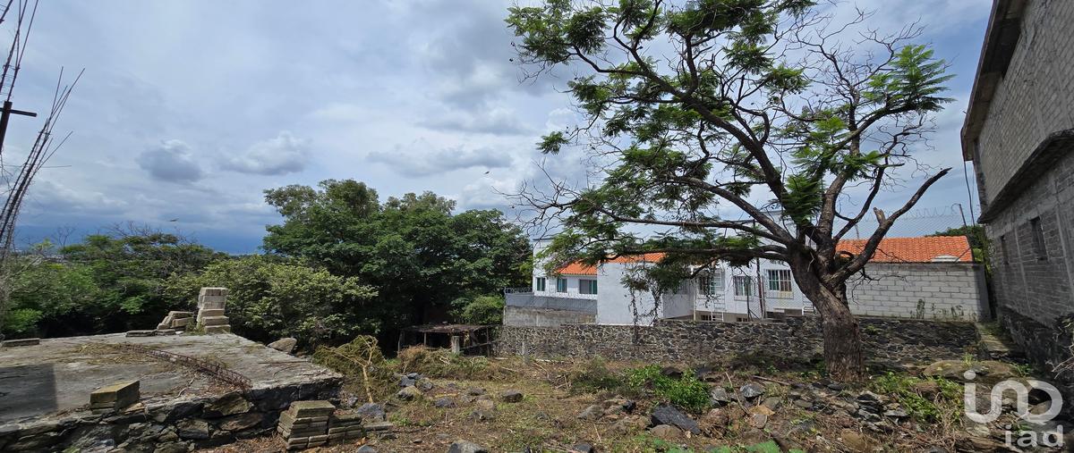 Foto de terreno habitacional en venta en sinaloa 335, tres de mayo, emiliano zapata, morelos, 30216305 No. 03