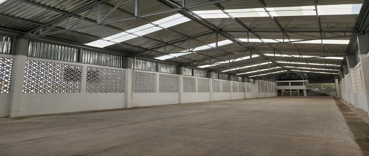 Foto de bodega en sinaloa , méxico, tampico, tamaulipas, 28547406 foto 04 Foto de bodega en venta en sinaloa , méxico, tampico, tamaulipas, 28547406 No. 04
