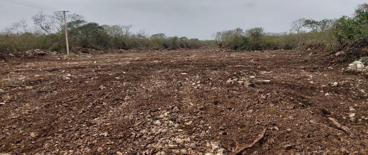 Foto de terreno habitacional en venta en sinan kai , chicxulub puerto, progreso, yucatán, 30294265 No. 04