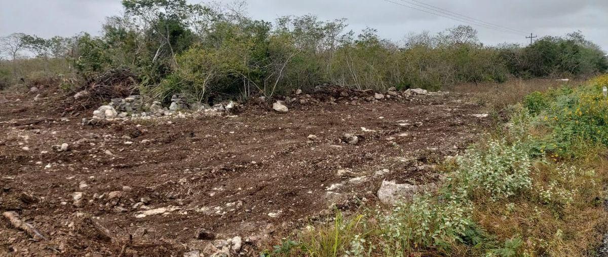 Foto de terreno habitacional en venta en sinan kai , chicxulub puerto, progreso, yucatán, 30294265 No. 05
