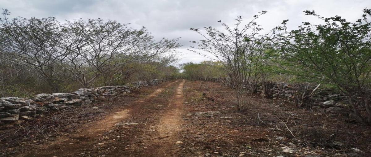 Foto de terreno habitacional en venta en  , sinanche, sinanché, yucatán, 0 No. 04