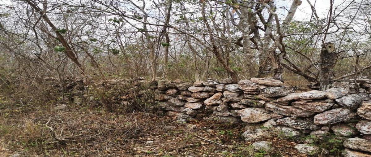 Foto de terreno habitacional en venta en  , sinanche, sinanché, yucatán, 0 No. 05