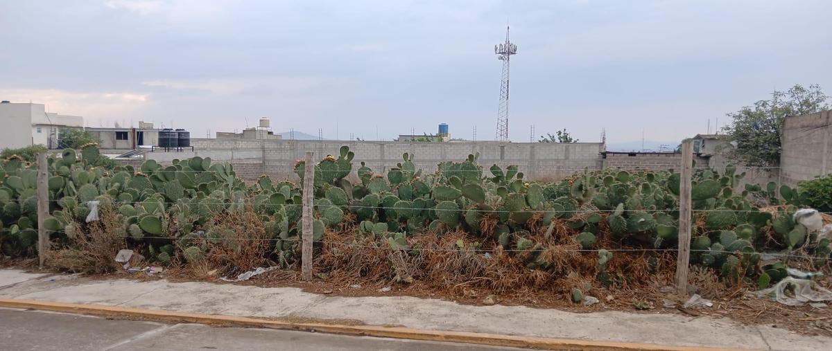 Foto de terreno habitacional en venta en  , singuilucan centro, singuilucan, hidalgo, 0 No. 03