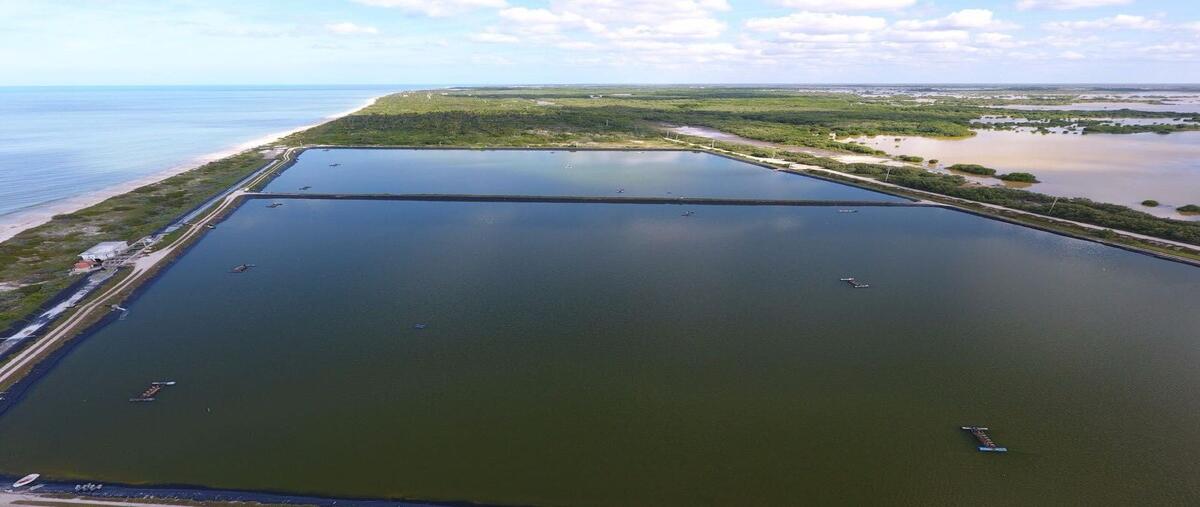 Foto de terreno habitacional en sisal frente al mar , sisal, hunucmá, yucatán, 0 foto 02 Foto de terreno habitacional en venta en sisal frente al mar , sisal, hunucmá, yucatán, 0 No. 02