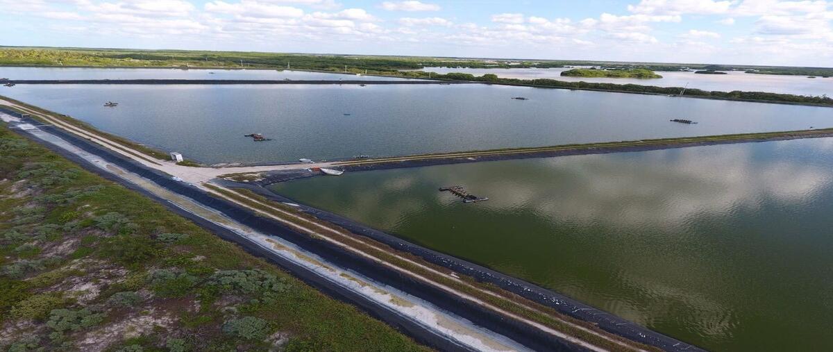 Foto de terreno habitacional en sisal frente al mar , sisal, hunucmá, yucatán, 0 foto 03 Foto de terreno habitacional en venta en sisal frente al mar , sisal, hunucmá, yucatán, 0 No. 03