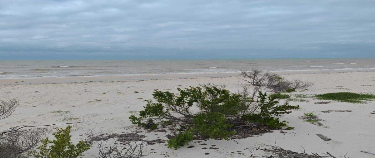 Foto de terreno habitacional en sisal frente al mar , sisal, hunucmá, yucatán, 0 foto 05 Foto de terreno habitacional en venta en sisal frente al mar , sisal, hunucmá, yucatán, 0 No. 05