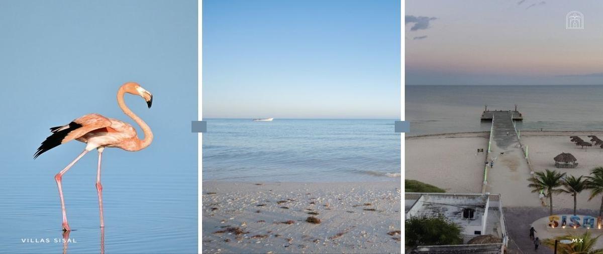 Foto de terreno habitacional en venta en  , sisal, hunucmá, yucatán, 25825899 No. 04