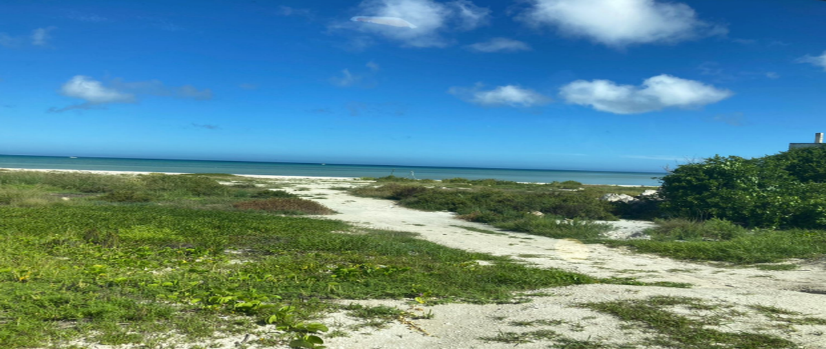 Foto de terreno habitacional en , sisal, hunucmá, yucatán, 26334454 foto 02 Foto de terreno habitacional en venta en , sisal, hunucmá, yucatán, 26334454 No. 02