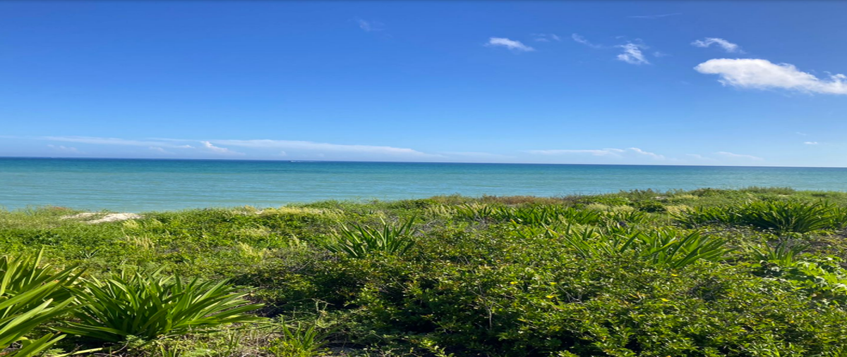 Foto de terreno habitacional en , sisal, hunucmá, yucatán, 26334454 foto 03 Foto de terreno habitacional en venta en , sisal, hunucmá, yucatán, 26334454 No. 03