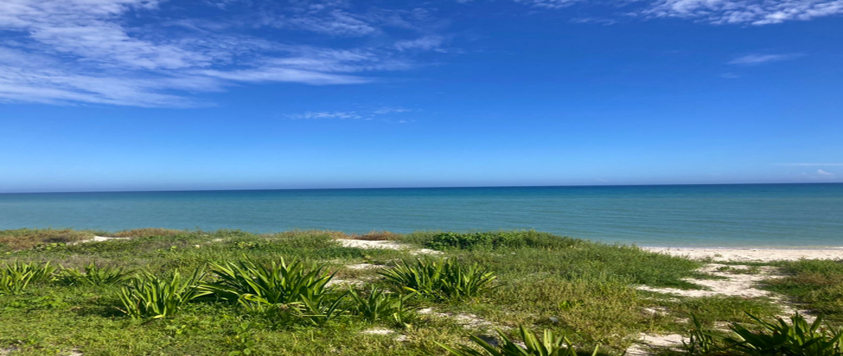 Foto de terreno habitacional en , sisal, hunucmá, yucatán, 26334454 foto 05 Foto de terreno habitacional en venta en , sisal, hunucmá, yucatán, 26334454 No. 05