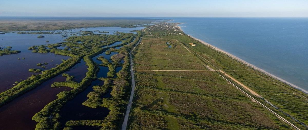 Foto de terreno habitacional en , sisal, hunucmá, yucatán, 26730574 foto 01 Foto de terreno habitacional en venta en , sisal, hunucmá, yucatán, 26730574 No. 01