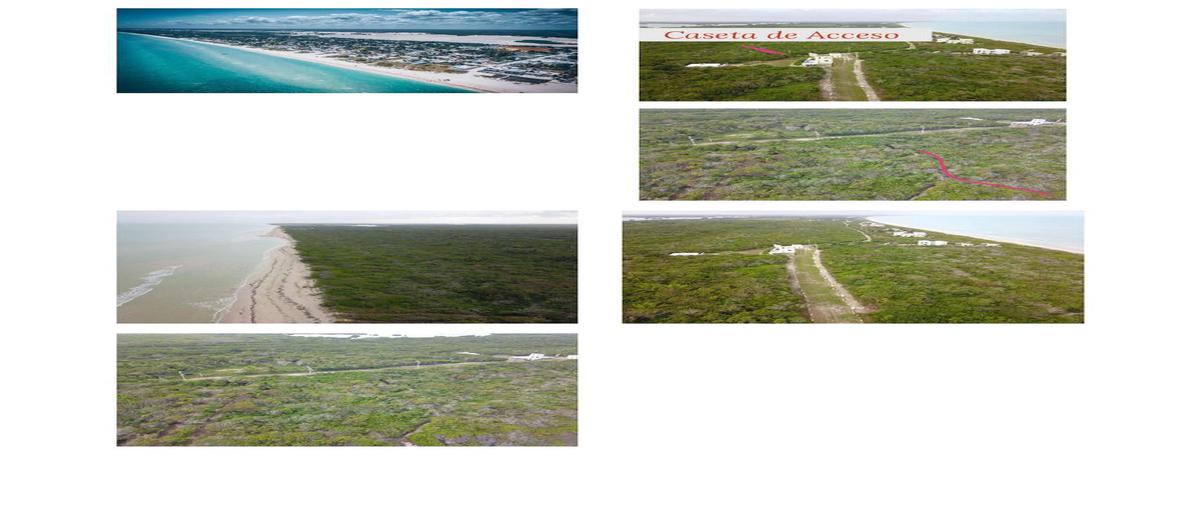 Foto de terreno habitacional en venta en  , sisal, hunucmá, yucatán, 0 No. 03