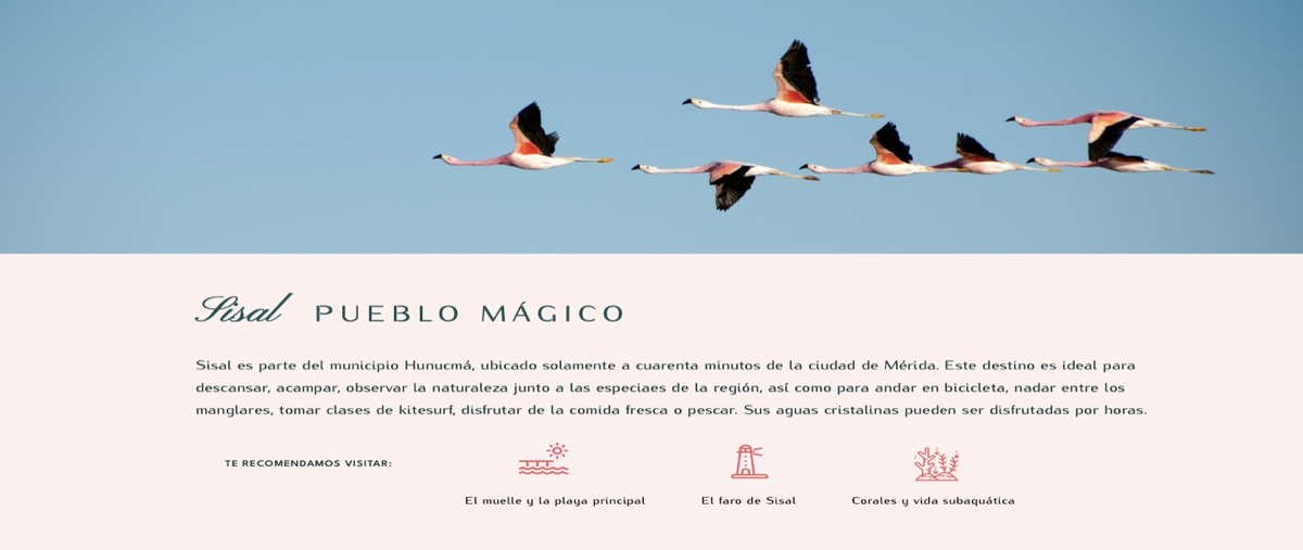 Foto de terreno habitacional en venta en  , sisal, hunucmá, yucatán, 27085357 No. 05