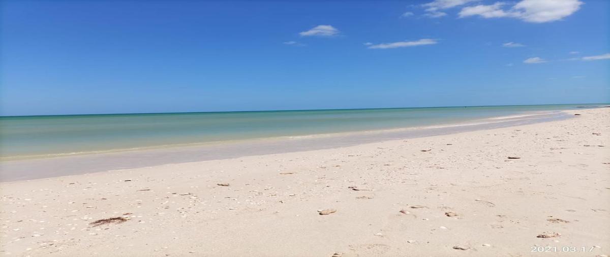 Foto de terreno habitacional en venta en  , sisal, hunucmá, yucatán, 0 No. 03