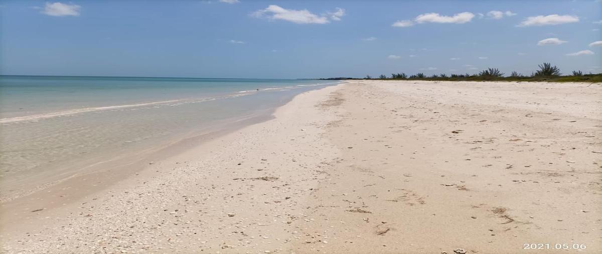 Foto de terreno habitacional en venta en  , sisal, hunucmá, yucatán, 0 No. 04
