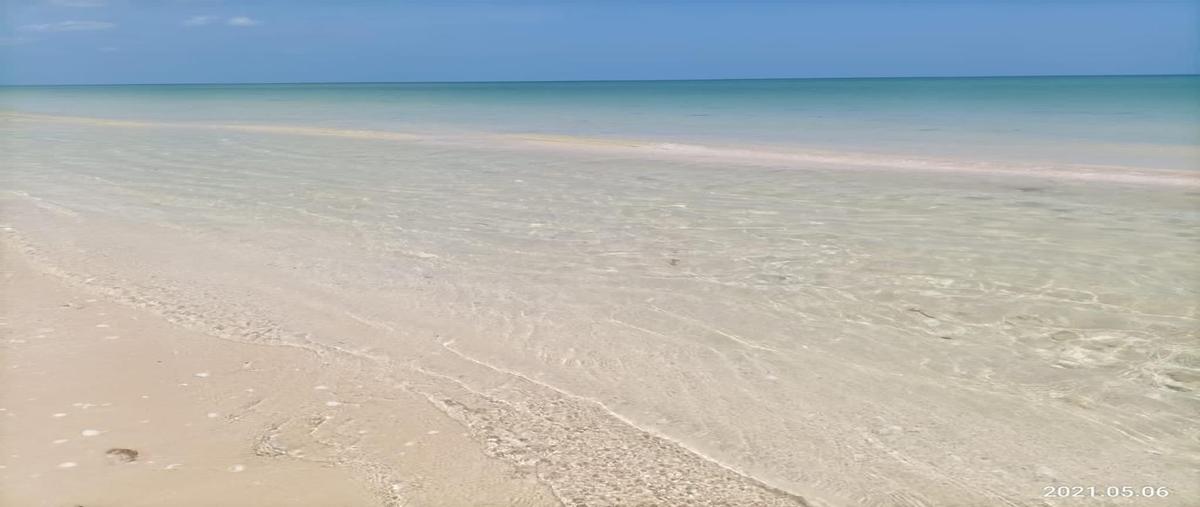 Foto de terreno habitacional en venta en  , sisal, hunucmá, yucatán, 0 No. 05