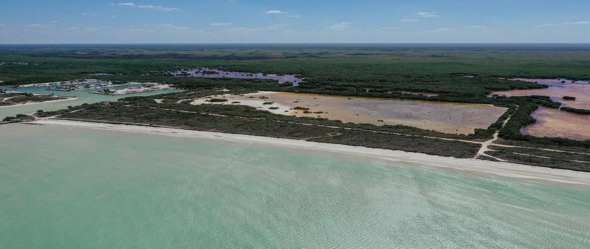 Foto de terreno habitacional en venta en  , sisal, hunucmá, yucatán, 0 No. 05