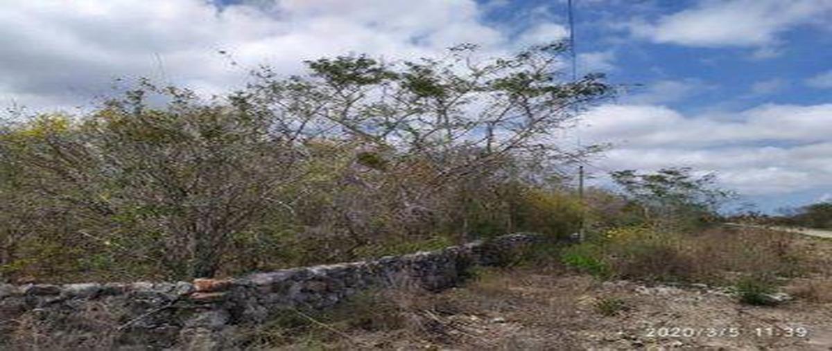 Foto de terreno habitacional en venta en  , sisal, hunucmá, yucatán, 0 No. 03