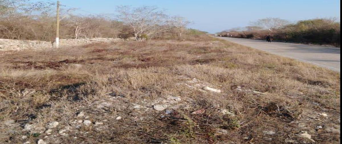 Foto de terreno habitacional en venta en  , sisal, hunucmá, yucatán, 0 No. 04