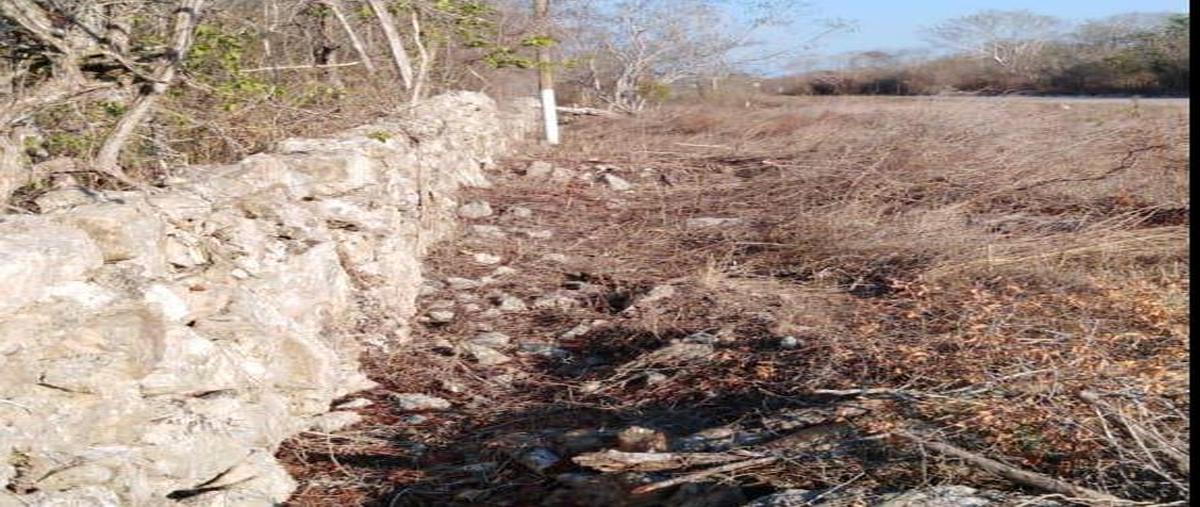 Foto de terreno habitacional en venta en  , sisal, hunucmá, yucatán, 0 No. 05
