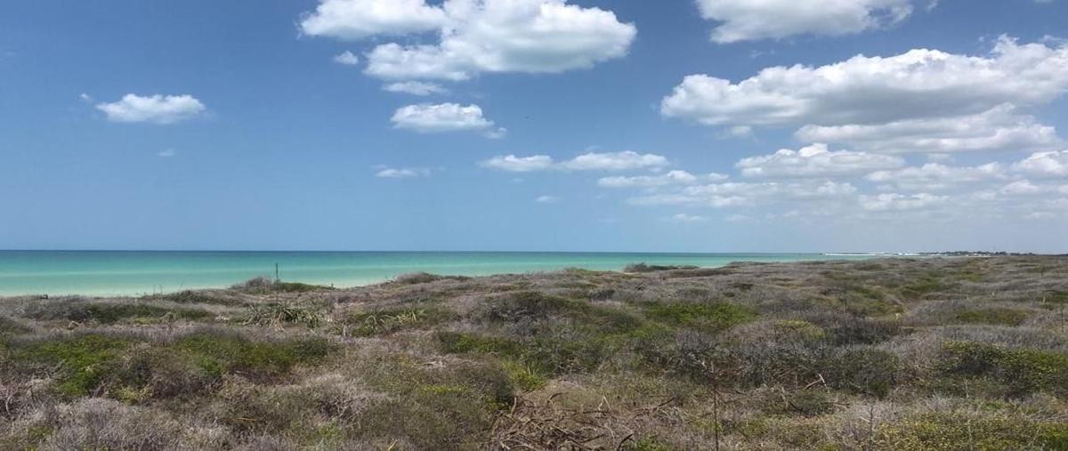 Foto de terreno habitacional en venta en  , sisal, hunucmá, yucatán, 27572926 No. 03