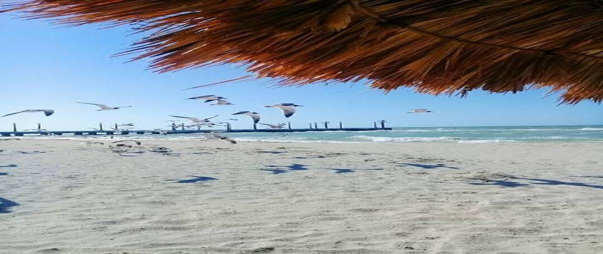 Foto de terreno habitacional en venta en  , sisal, hunucmá, yucatán, 27677059 No. 05