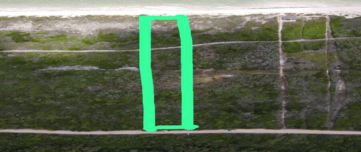 Foto de terreno habitacional en , sisal, hunucmá, yucatán, 27696466 foto 03 Foto de terreno habitacional en venta en , sisal, hunucmá, yucatán, 27696466 No. 03