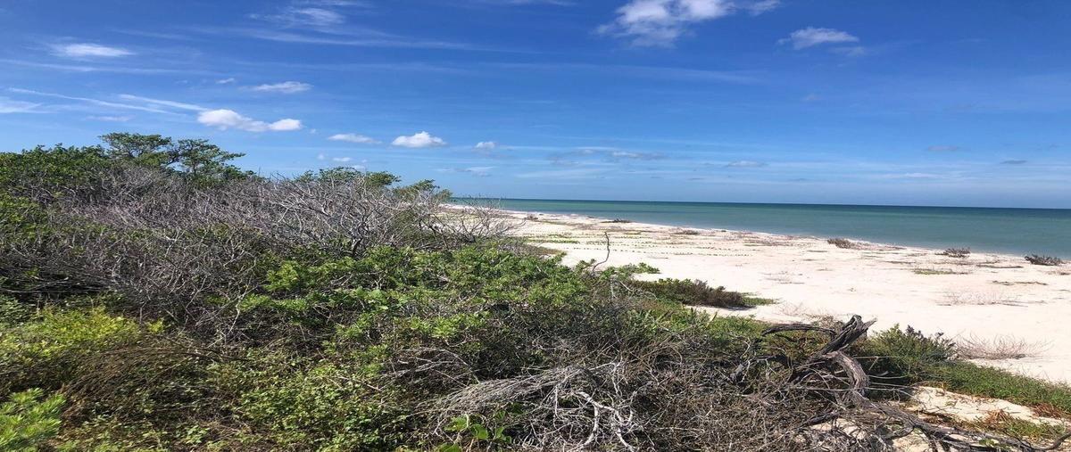 Foto de terreno habitacional en venta en  , sisal, hunucmá, yucatán, 27850437 No. 03