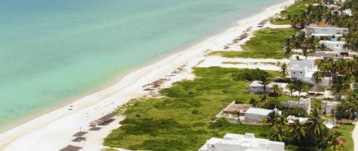 Foto de terreno habitacional en venta en  , sisal, hunucmá, yucatán, 27860463 No. 05