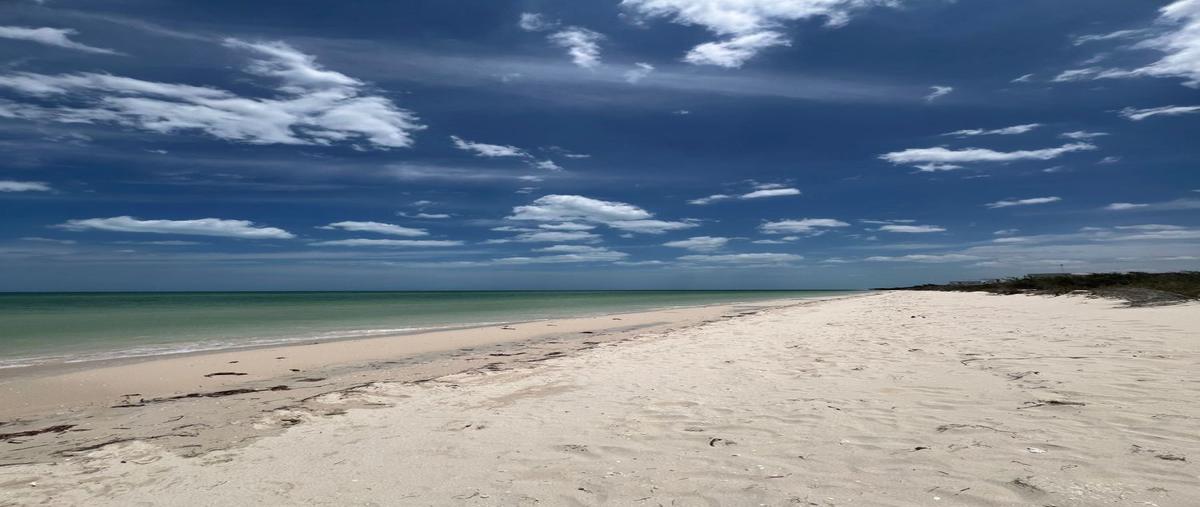 Foto de terreno habitacional en venta en  , sisal, hunucmá, yucatán, 27917635 No. 05