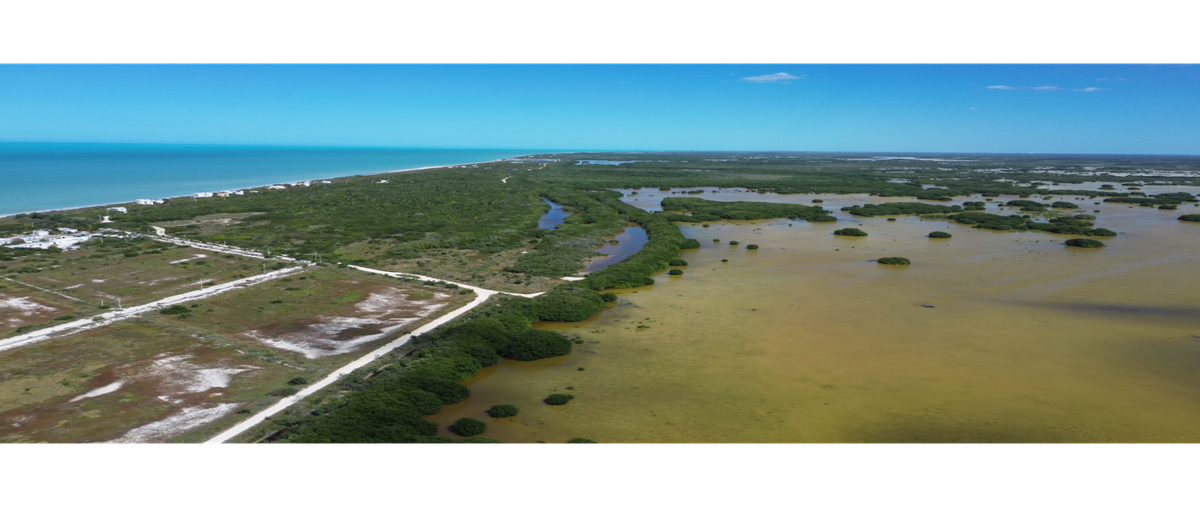 Foto de terreno habitacional en venta en  , sisal, hunucmá, yucatán, 0 No. 03