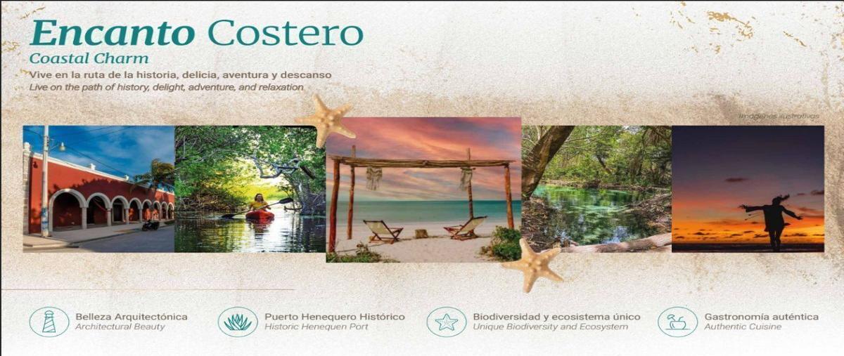 Foto de terreno habitacional en venta en  , sisal, hunucmá, yucatán, 27954626 No. 05