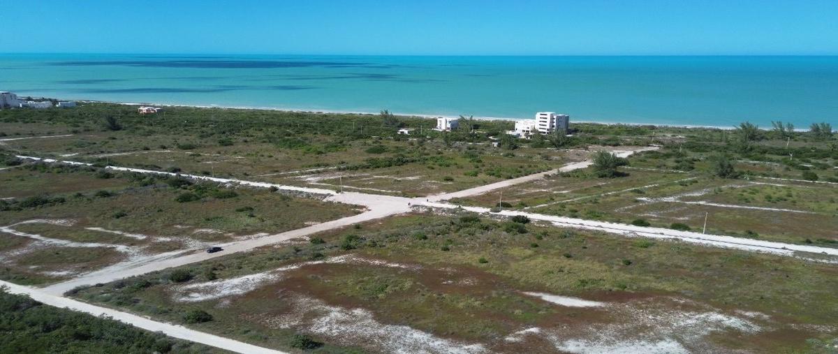 Foto de terreno habitacional en , sisal, hunucmá, yucatán, 28032051 foto 03 Foto de terreno habitacional en venta en , sisal, hunucmá, yucatán, 28032051 No. 03