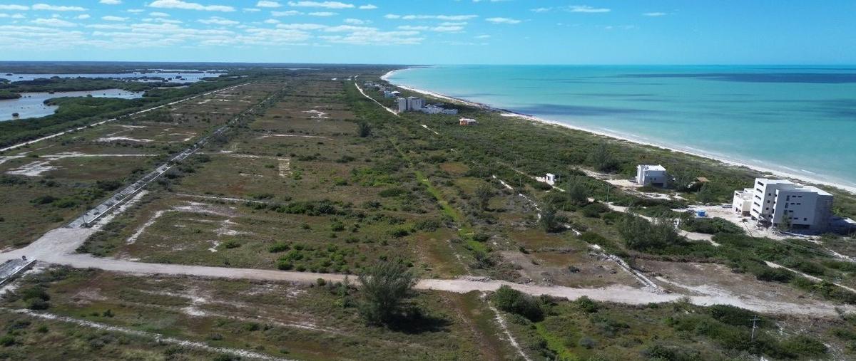 Foto de terreno habitacional en , sisal, hunucmá, yucatán, 28032051 foto 04 Foto de terreno habitacional en venta en , sisal, hunucmá, yucatán, 28032051 No. 04