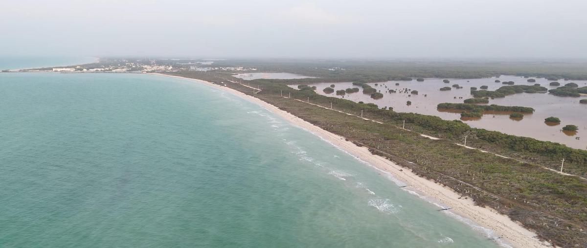 Foto de terreno habitacional en , sisal, hunucmá, yucatán, 28138304 foto 04 Foto de terreno habitacional en venta en , sisal, hunucmá, yucatán, 28138304 No. 04